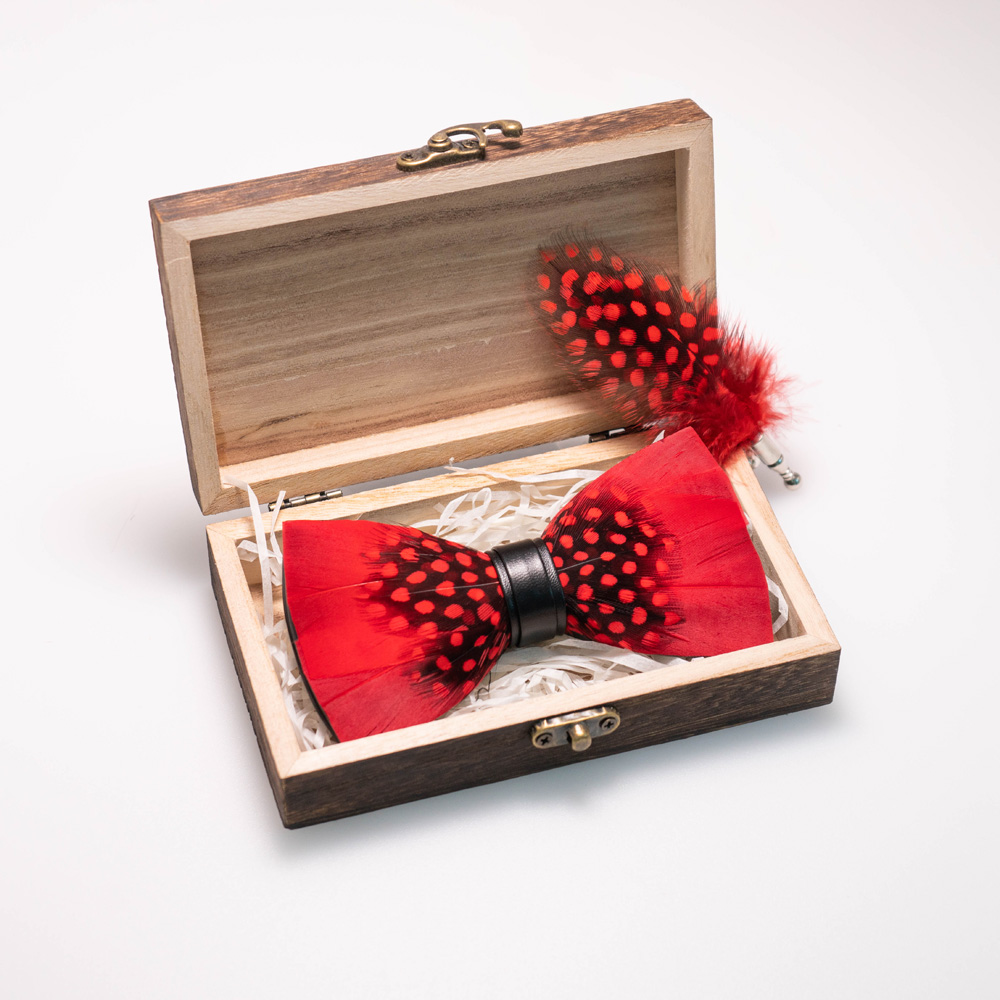 EASTEPIC Tay Lông Vũ Đính Nơ T - đánh giá và giá Neck Tie Set Box
